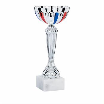 Coupe Ligne Economique Bleu...