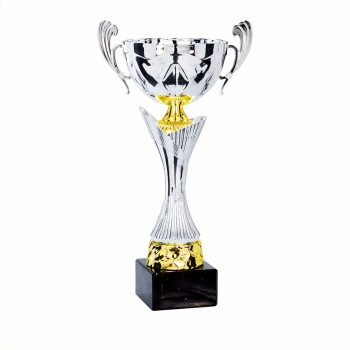 Coupe Ligne Classique...