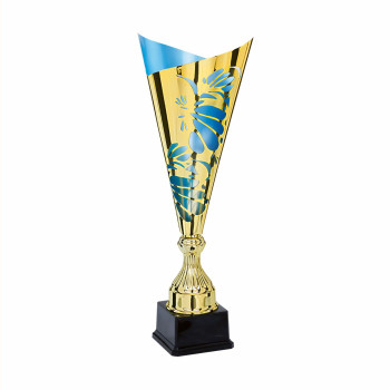 Coupe laser F-3881 - F-3882...