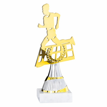 Trophée laser métal...