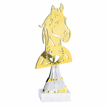 Trophée laser métal...