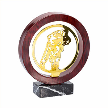 Trophée bois et métal Judo...
