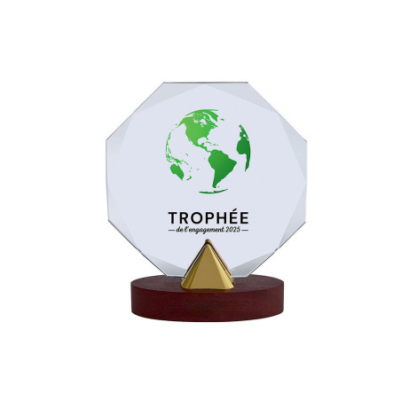 Trophée création verre et bois - T-TV5102
