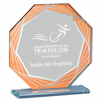 Trophée Création Verre -...