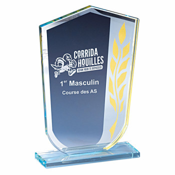 Trophée Création verre...