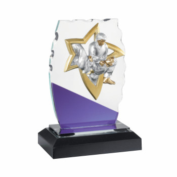 Trophée verre multisports...