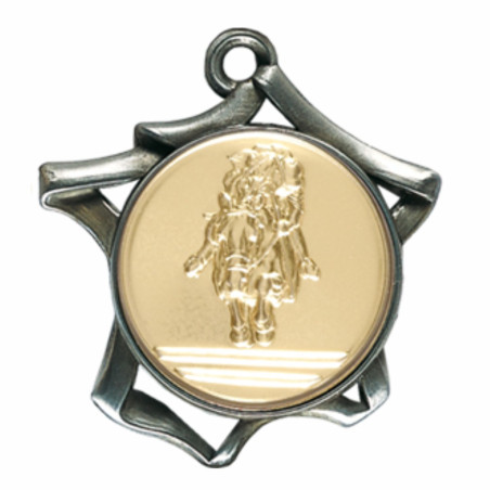 Médaille multisports avec pastille F-8469