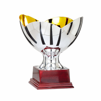 Coupe ligne Prestige F-77-81