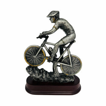 Trophée résine VTT 3D...