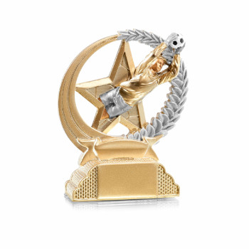 Trophée Résine Football...