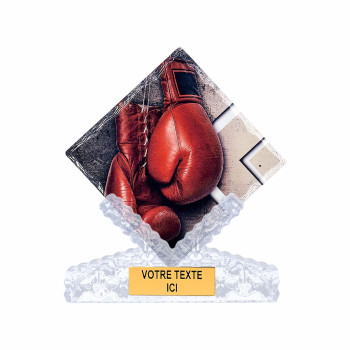 Trophée Céramique Boxe -...