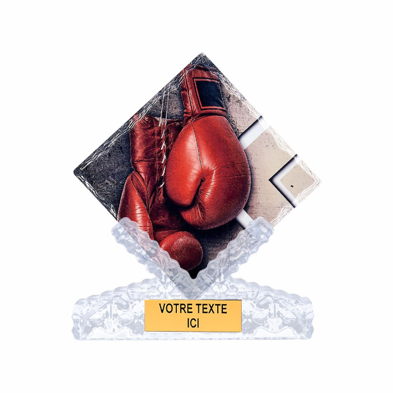 Trophée Céramique Boxe - F-46103