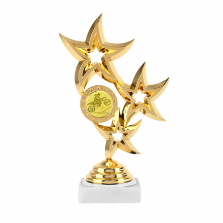 Trophée divers étoile multisports avec pastille - CH-32541