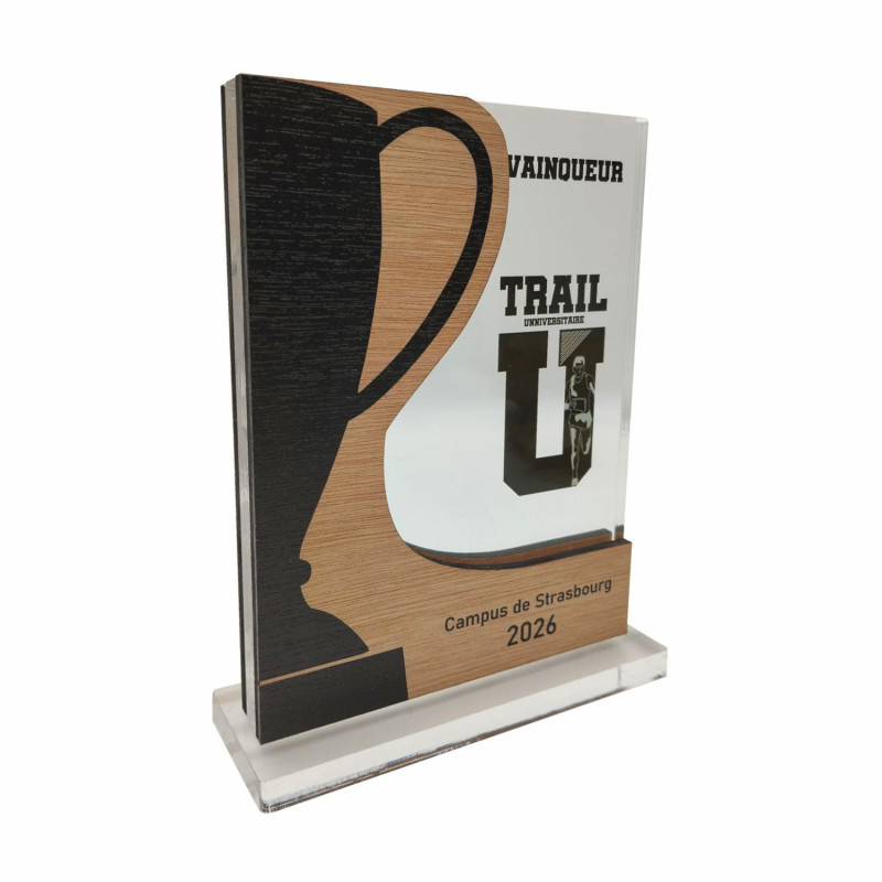 Trophée création coupe mixte bois et acryglass - TD-COUPE1