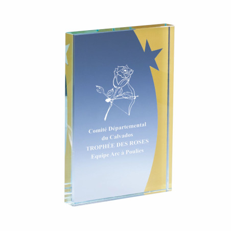 Trophée création verre étoile - F-168-31 - F-168-32 - F-168-33