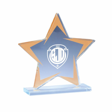 Trophée création verre modèle étoile - F-173-01 - F-173-02 - F-173-03