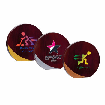 Trophée création bois...