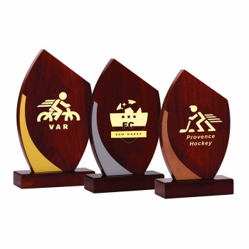 Trophée création bois...