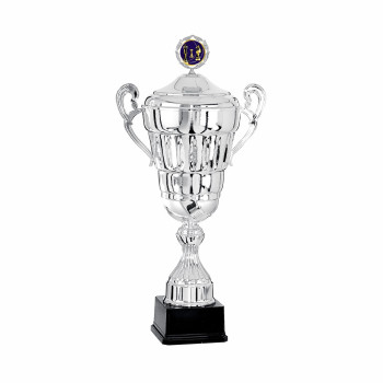 Coupe Ligne Prestige avec...