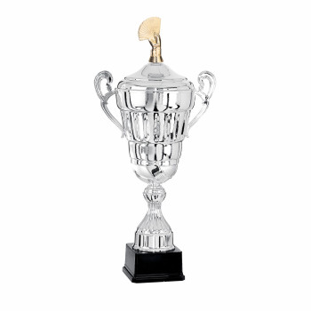 Coupe Ligne Prestige avec...