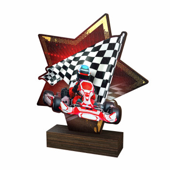 Trophée bois couleurs...