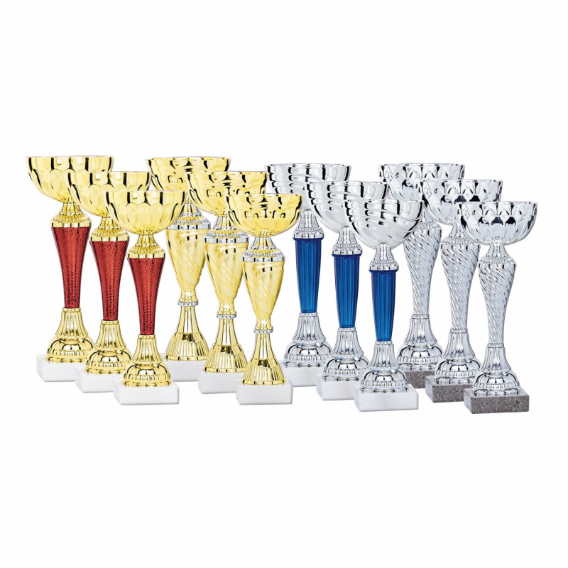 Lot de 12 coupes n°1FS