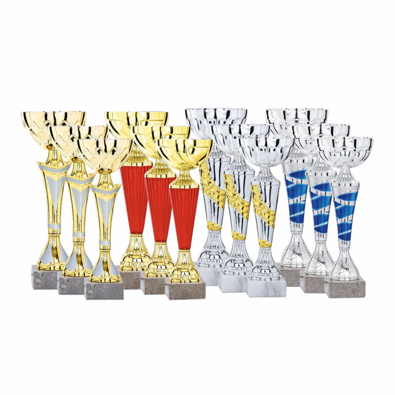 Lot de 12 coupes N°2FS