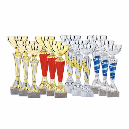 Lot de 12 coupes N°2FS