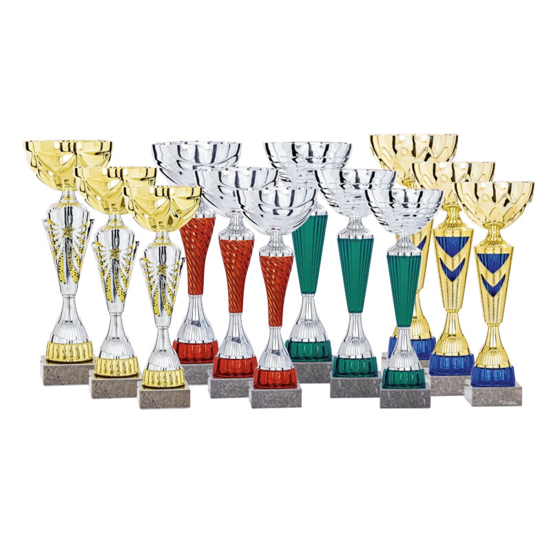 Lot de 12 coupes n°4FS