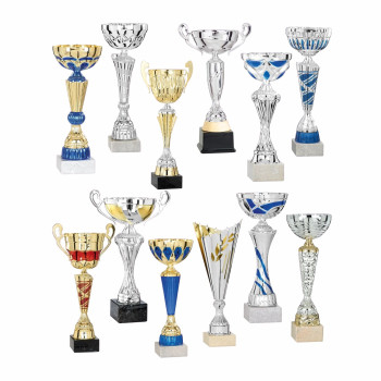 Lot de 12 coupes n°10FS