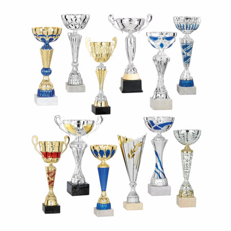 Lot de 12 coupes n°10FS