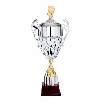 Coupe ligne prestige tout...