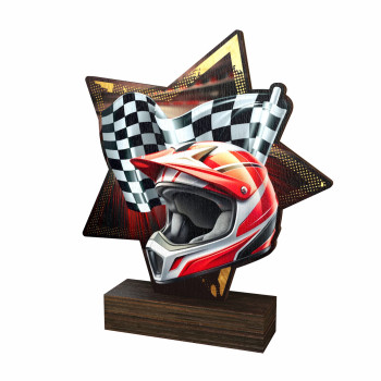 Trophée bois couleurs...