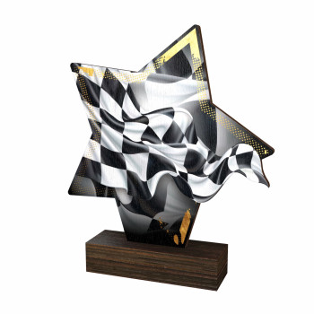 Trophée bois couleurs...