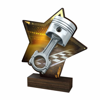 Trophée bois couleurs...