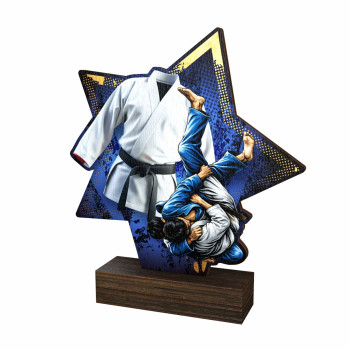 Trophée bois couleurs judo...