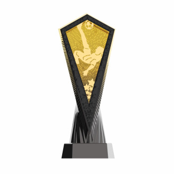 Trophée ABS et métal...