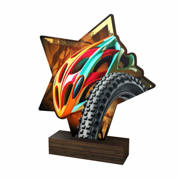 Trophée bois couleurs VTT -...
