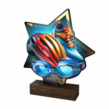 Trophée bois couleurs...