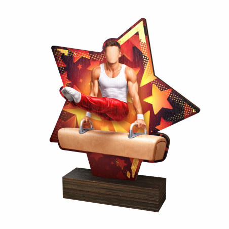 Trophée bois couleurs gymnastique homme - BA-WFSTAR001C.M47