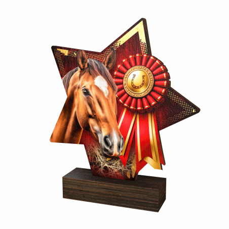 Trophée bois couleurs équitation - BA-WFSTAR001C.M48