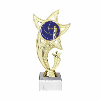 Trophée étoile divers...