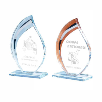 Trophée Création Verre...