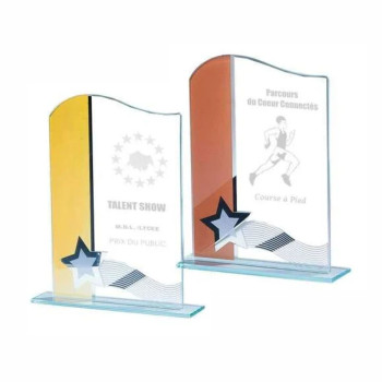Trophée Création Verre...