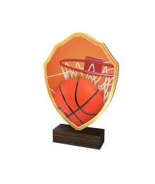 Trophée Bois Couleurs Basket - BA-TFRW003
