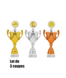Lot de 3 coupes Petits Prix - ligne Economique Lot 3 Coupes 1xCH-TRC0425.01 - 1xCH-TRC0425.02 - 1xCH-TRC0425.03