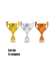 Lot de 3 coupes Petits Prix - ligne Economique 1x-TRC0423.01 - 1x-CH-TRC0422.01 - 1x-CH-TRC0424.01 Or Argent Bronze