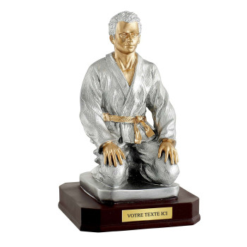 Trophée Résine Judo T-RS0705