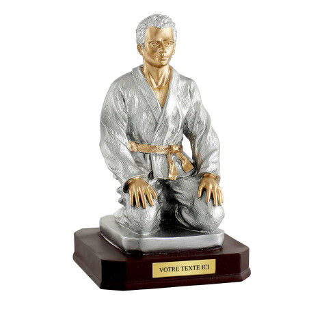 Trophée Résine Judo T-RS0705