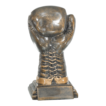 Trophée Résine Boxe - F-52536